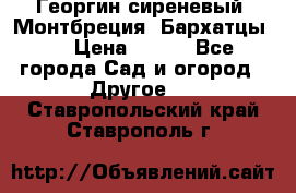 Георгин сиреневый. Монтбреция. Бархатцы.  › Цена ­ 100 - Все города Сад и огород » Другое   . Ставропольский край,Ставрополь г.